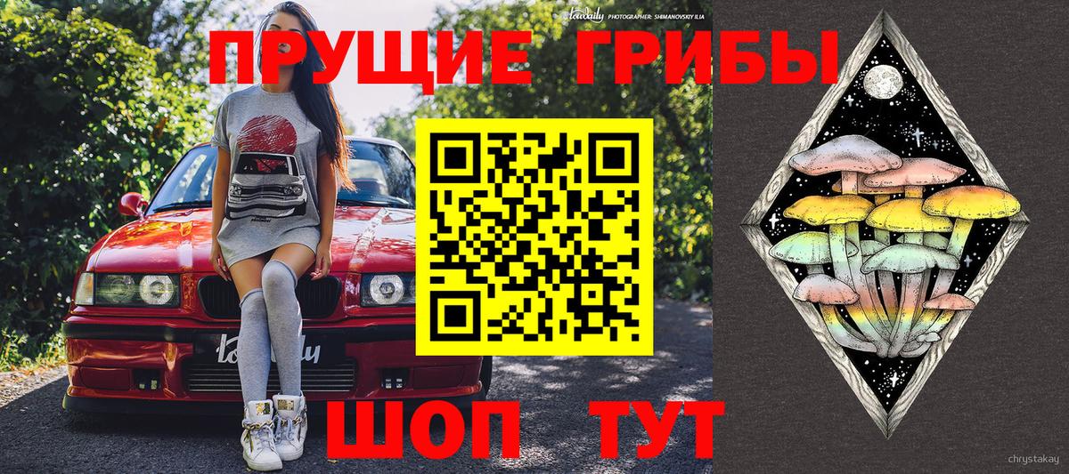 Псилоцибиновые грибы MAGIC MUSHROOMS  Вход с VPN  Орехово-Зуево 